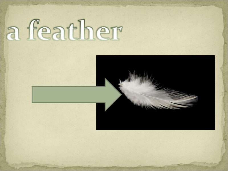 a feather